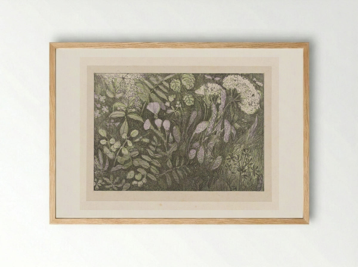 Bloemen en planten - Theo van Hoytema - Framed Print Wood