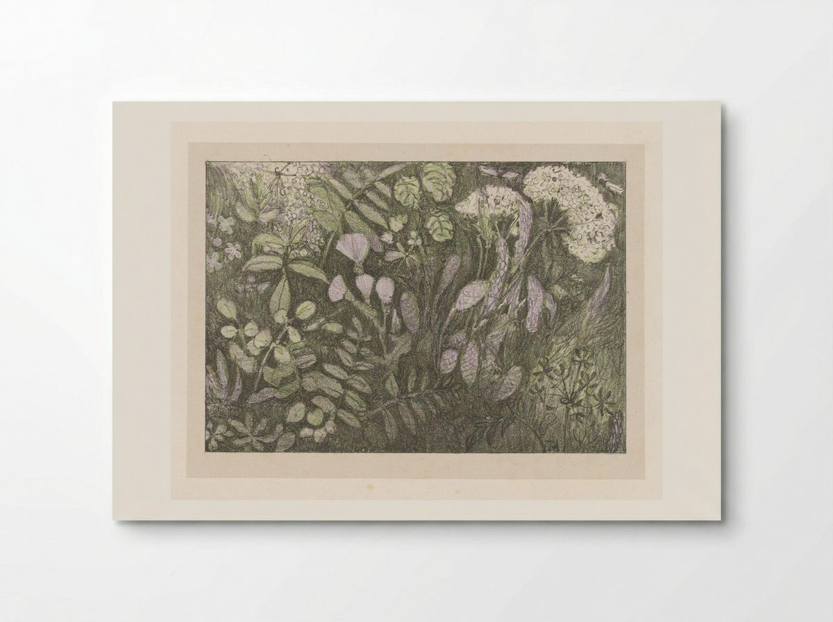 Bloemen en planten - Theo van Hoytema - Poster