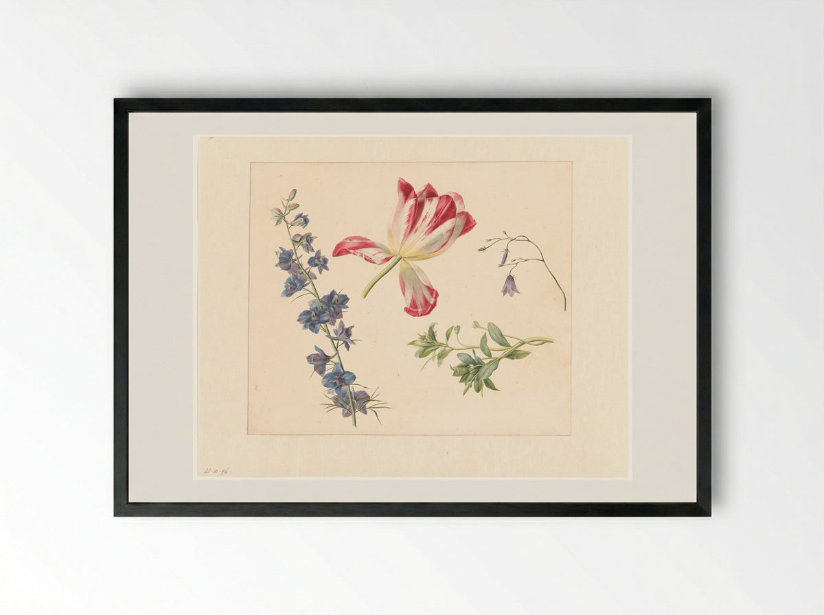 Bloemstudies - Albertus Jonas Brandt - Framed Print Black