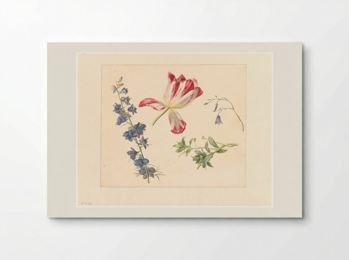 Bloemstudies - Albertus Jonas Brandt - Poster