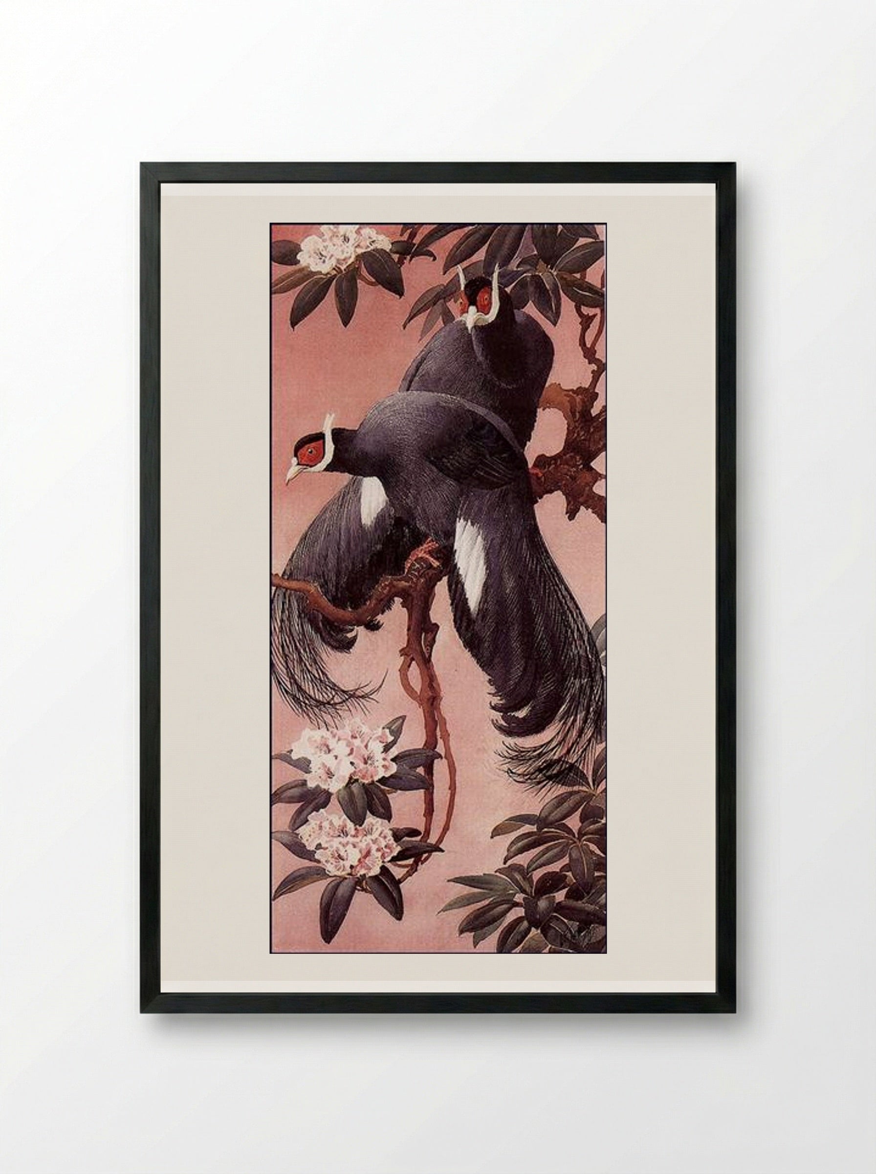 Blue Eared Pheasants - Charles Tunnicliffe - Framed Print Black