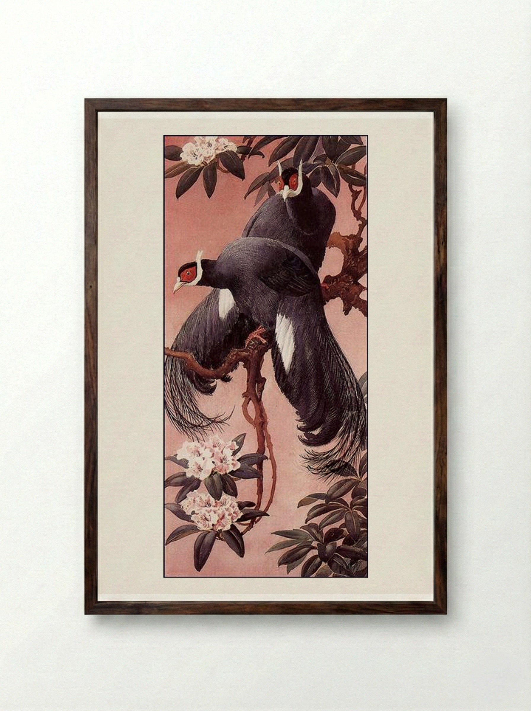 Blue Eared Pheasants - Charles Tunnicliffe - Framed Print Dark Wood