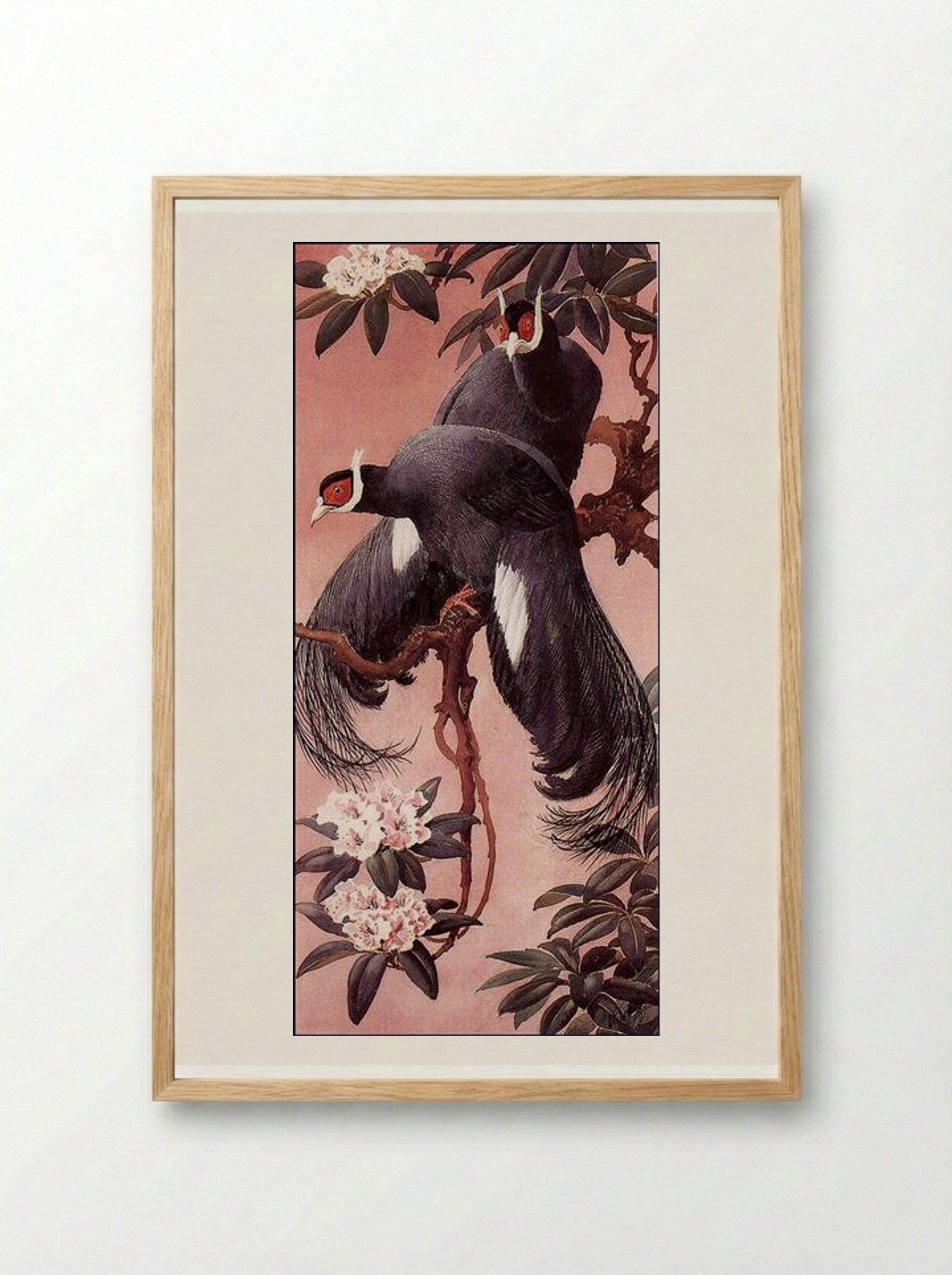 Blue Eared Pheasants - Charles Tunnicliffe - Framed Print Wood