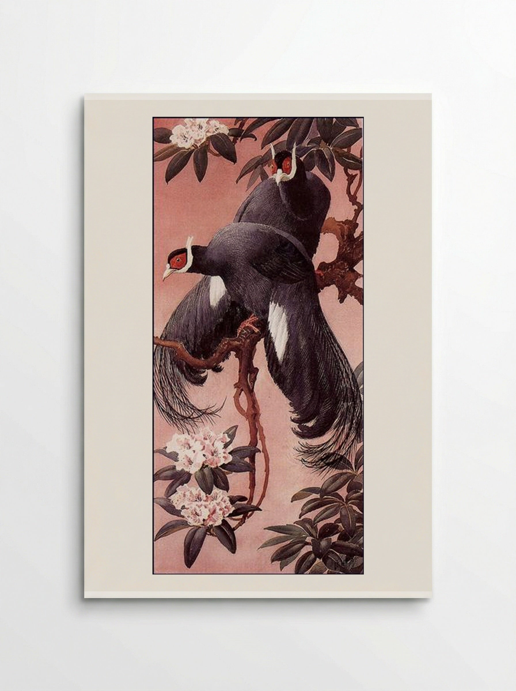 Blue Eared Pheasants - Charles Tunnicliffe - Poster