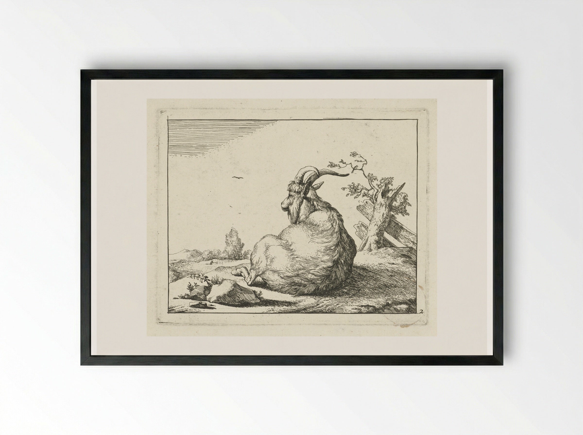 Bok zittend bij omgevallen boom - Marcus de Bye - Framed Print Black