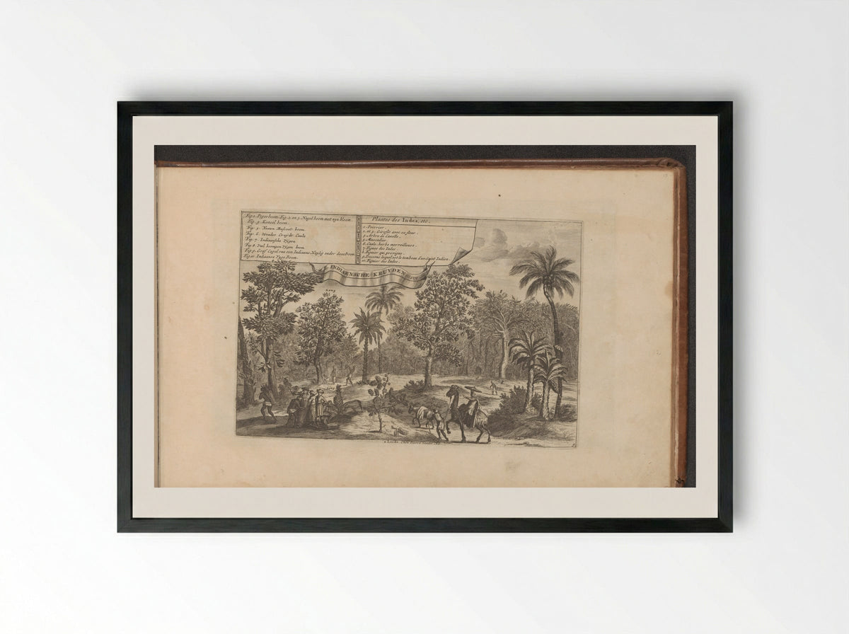 Bomen en specerijen - Romeyn de Hooghe - Framed Print Black