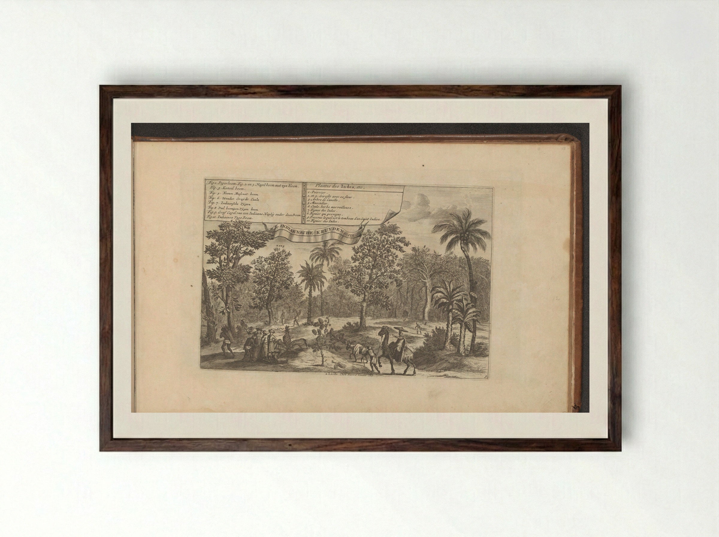 Bomen en specerijen - Romeyn de Hooghe - Framed Print Dark Wood