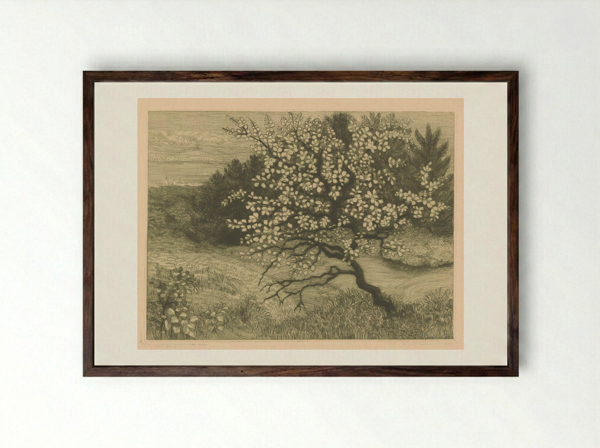 Bomen in een glooiend landschap - Roelf Gerbrands - Framed Print Dark Wood