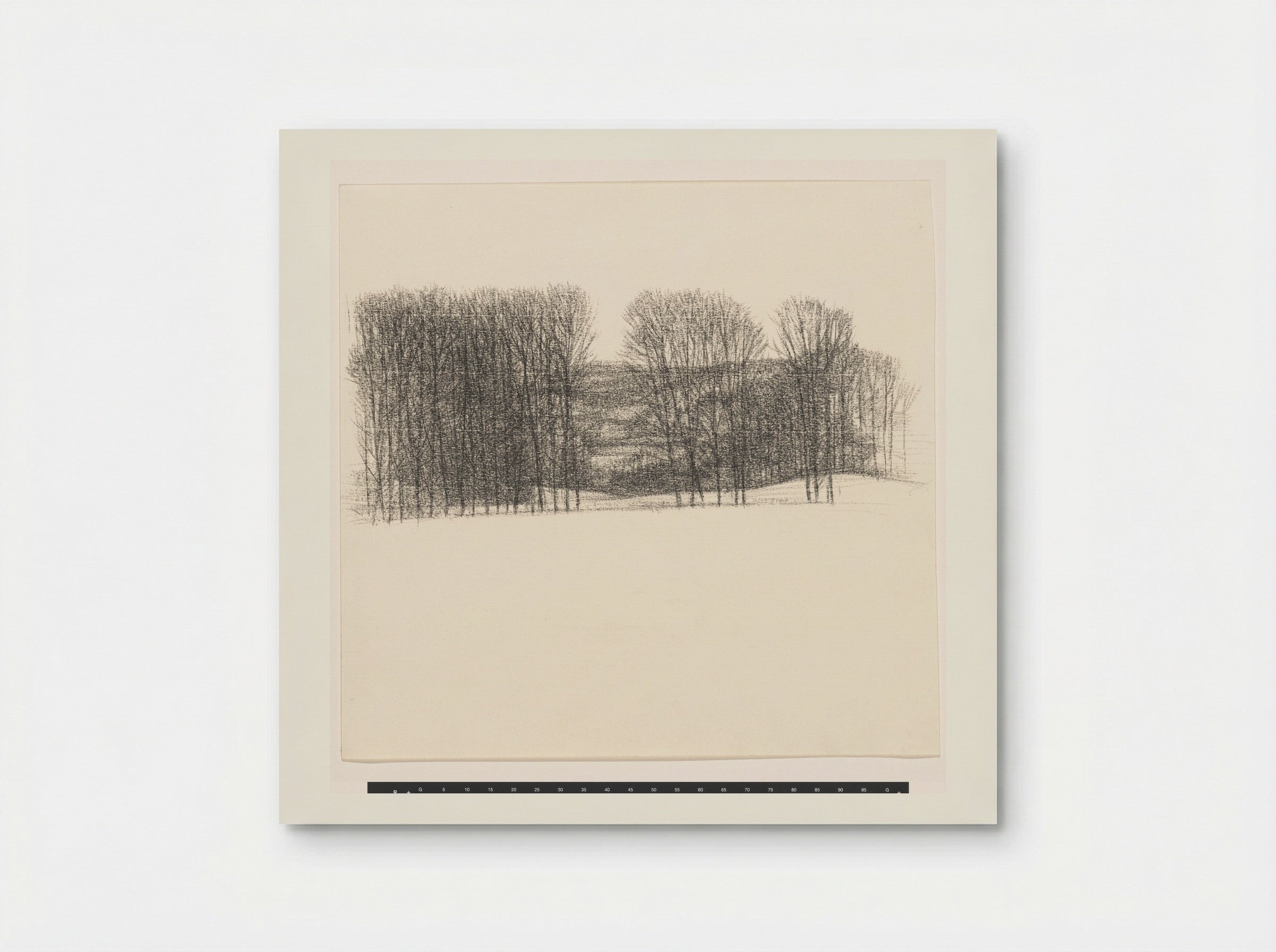 Bomen in glooiend landschap - Kees Stoop - Poster
