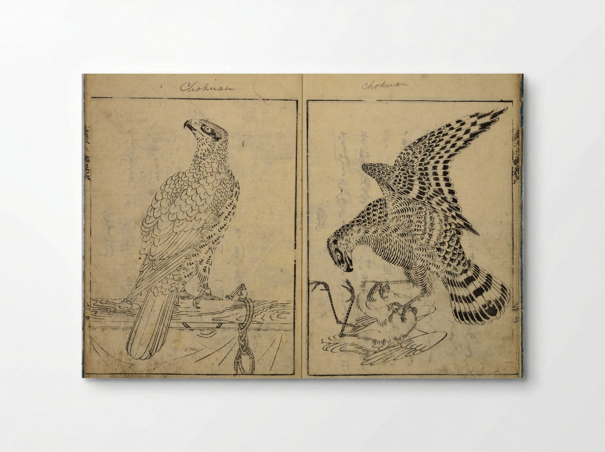 Book of Famous Japanese and Chinese Paintings - Ooka Shunboku - Poster