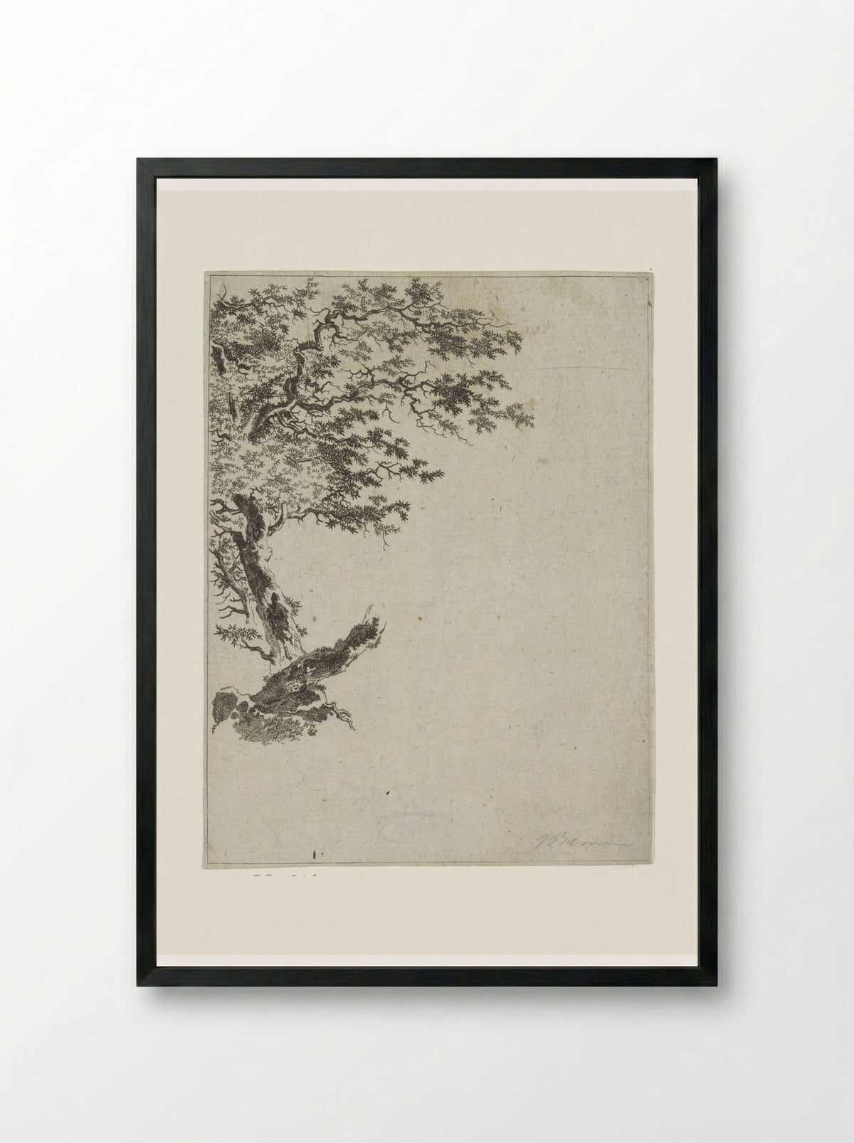 Boomstudie (Tree Study) - Joannes Bemme - Framed Print Black