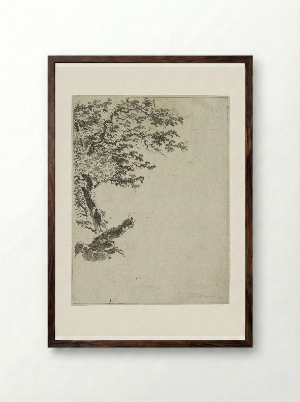 Boomstudie (Tree Study) - Joannes Bemme - Framed Print Dark Wood
