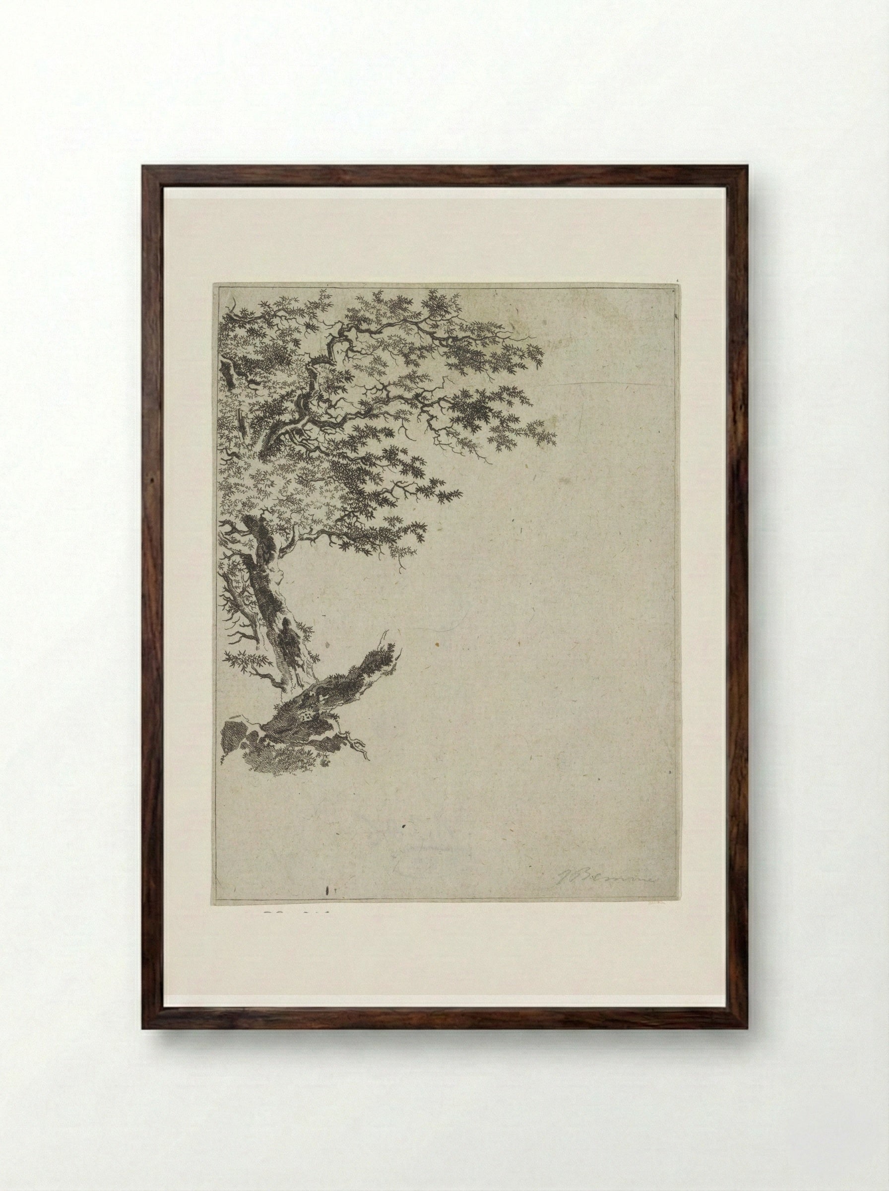 Boomstudie (Tree Study) - Joannes Bemme - Framed Print Dark Wood