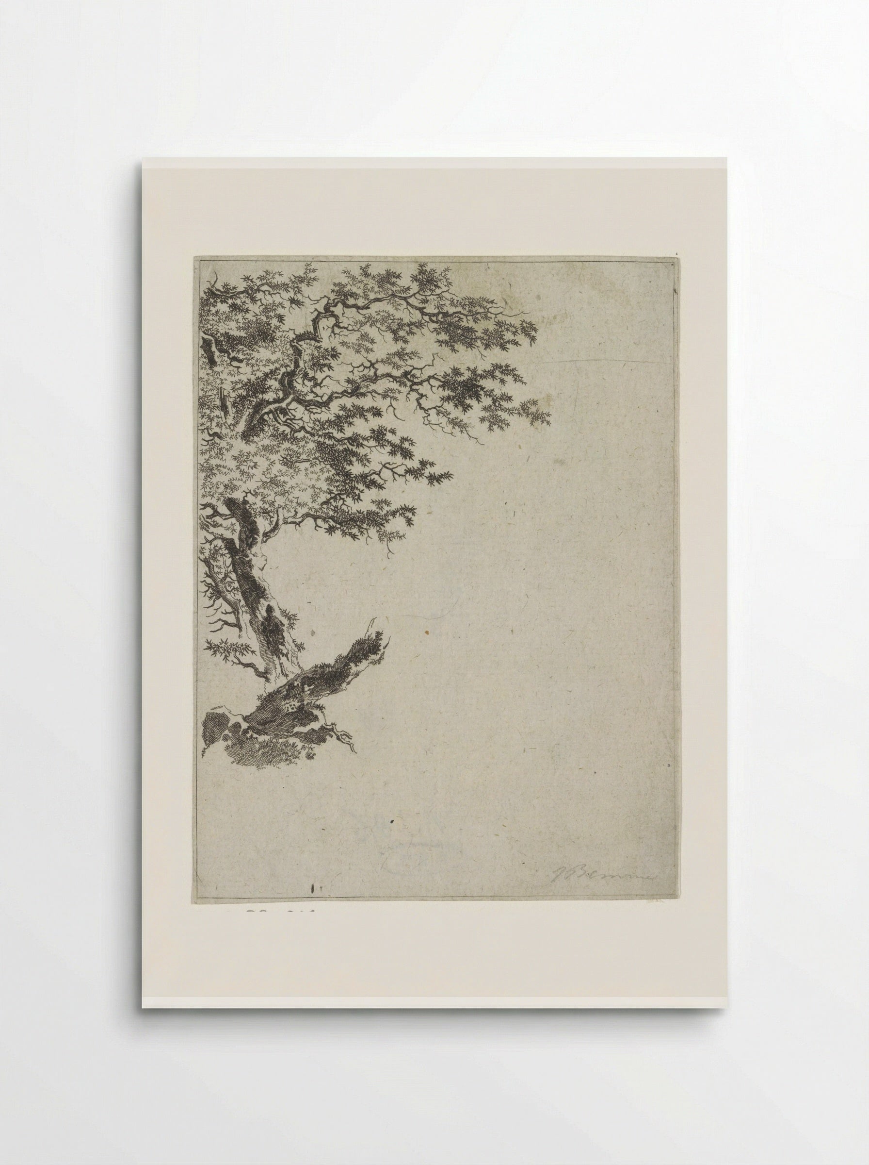 Boomstudie (Tree Study) - Joannes Bemme - Poster