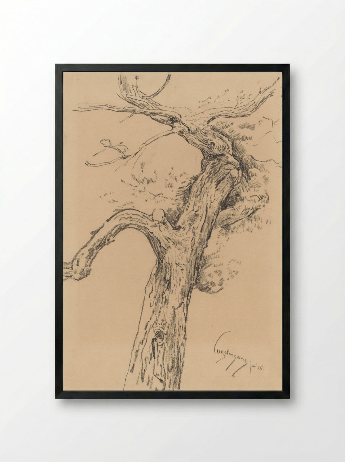 Boomstudie, te Vogelenzang - Simon Moulijn - Framed Print Black