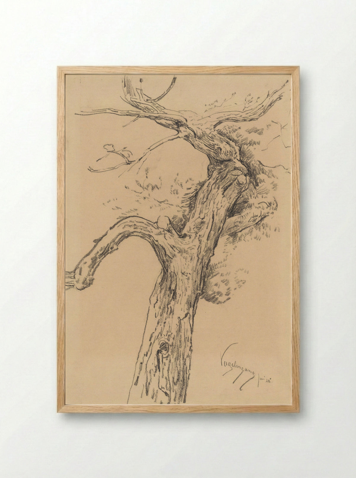 Boomstudie, te Vogelenzang - Simon Moulijn - Framed Print Wood