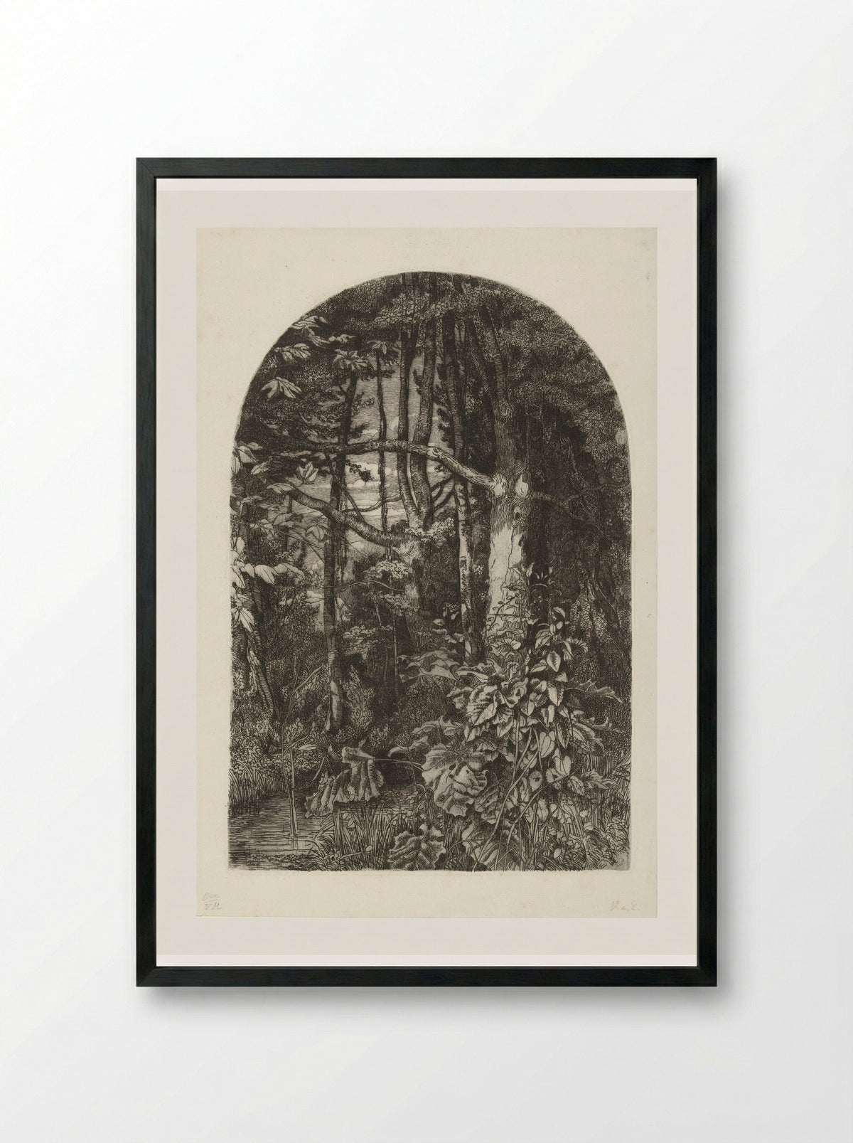 Bos met beek - Jacobus Ludovicus Cornet - Framed Print Black