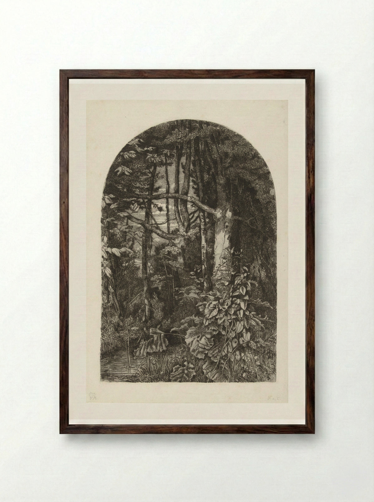 Bos met beek - Jacobus Ludovicus Cornet - Framed Print Dark Wood