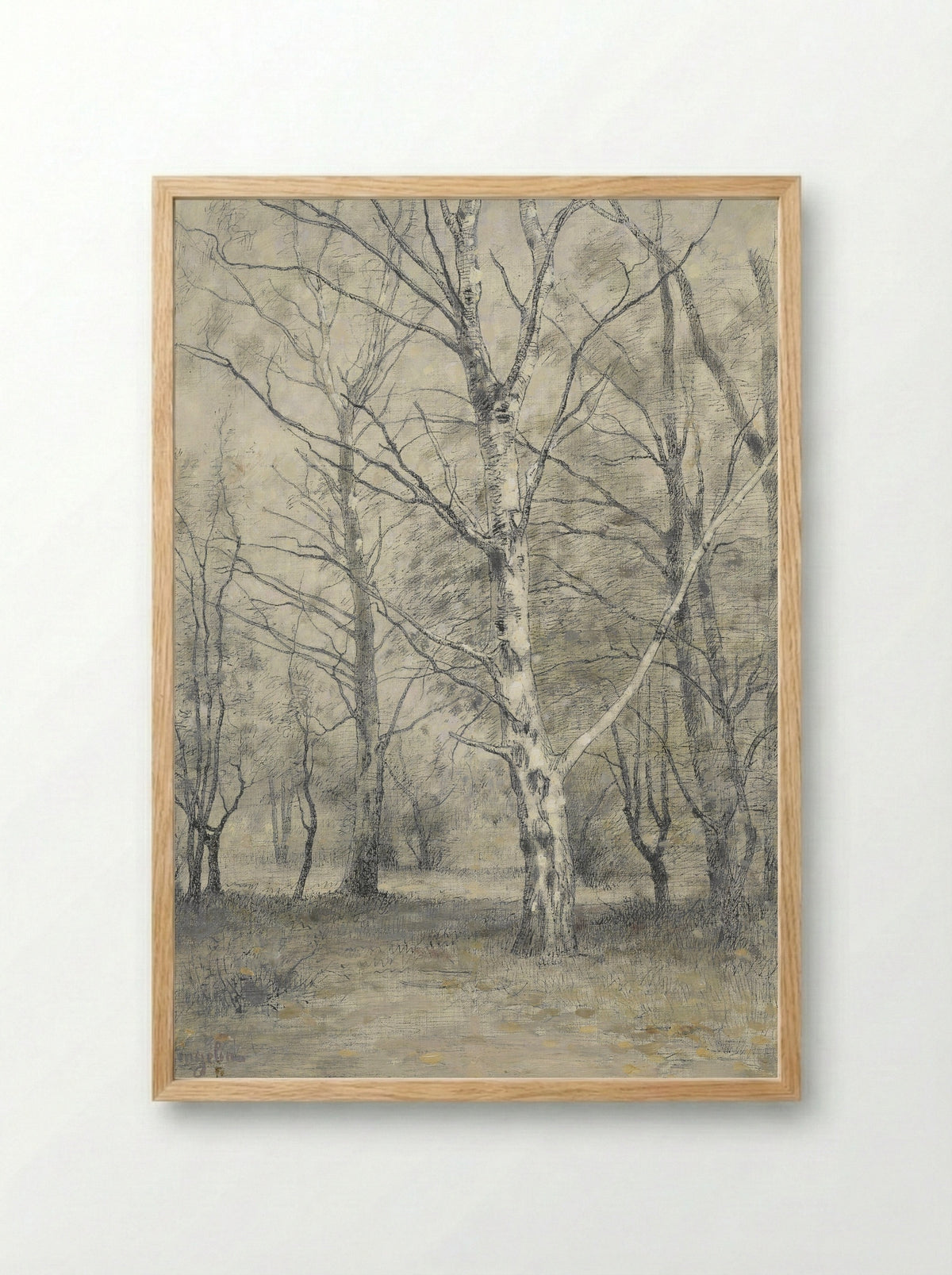Bos met berkebomen - Alphonse Stengelin - Framed Print Wood