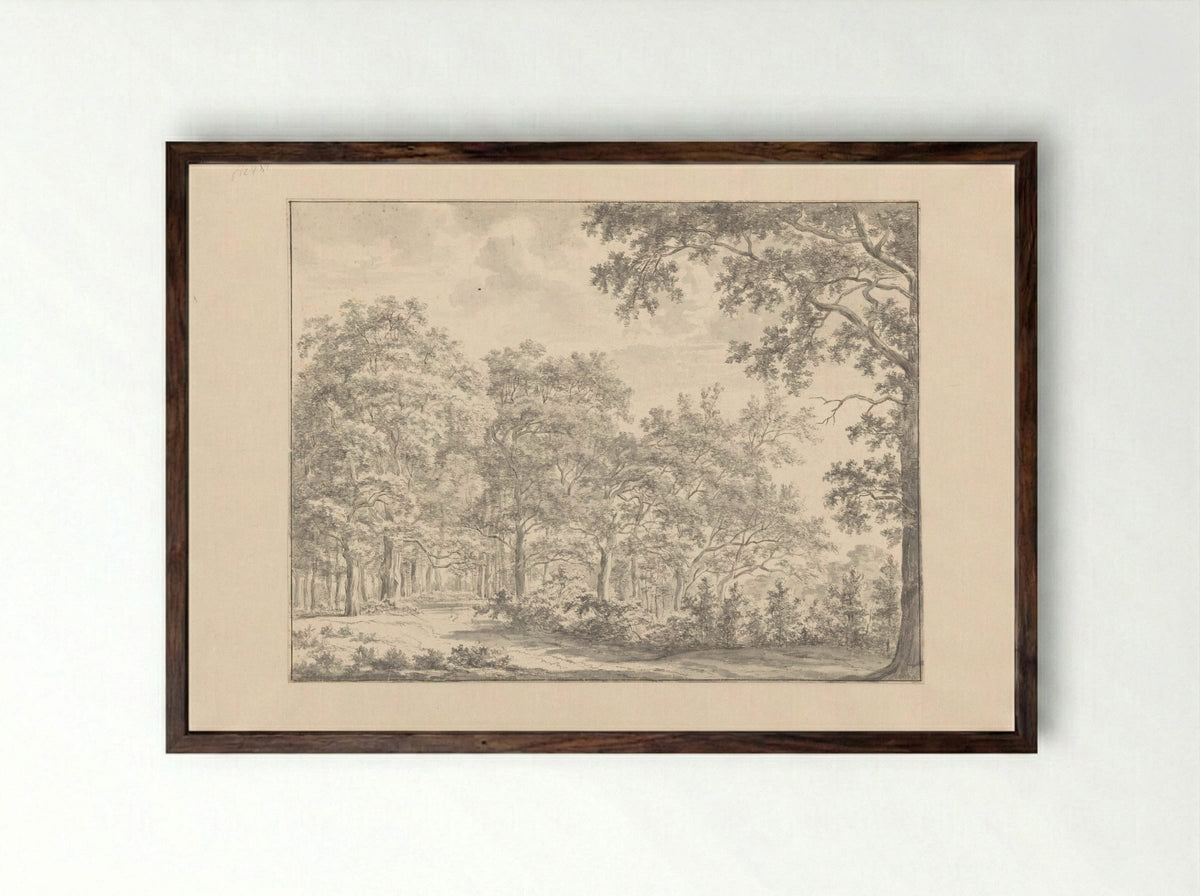 Bosgezicht (Forest View) - Jan Andries Töpfer - Framed Print Dark Wood