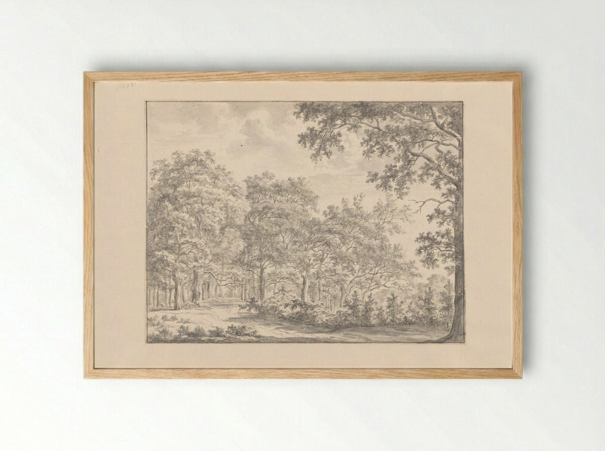 Bosgezicht (Forest View) - Jan Andries Töpfer - Framed Print Wood