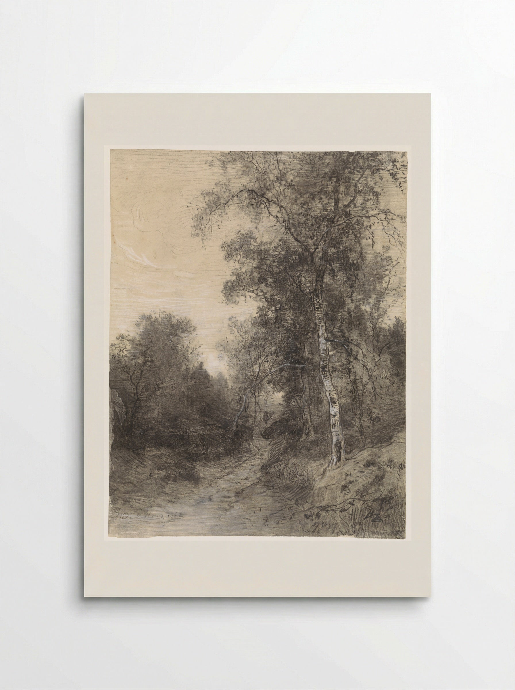 Bosgezicht (Forest View) - Johannes Warnardus Bilders - Poster