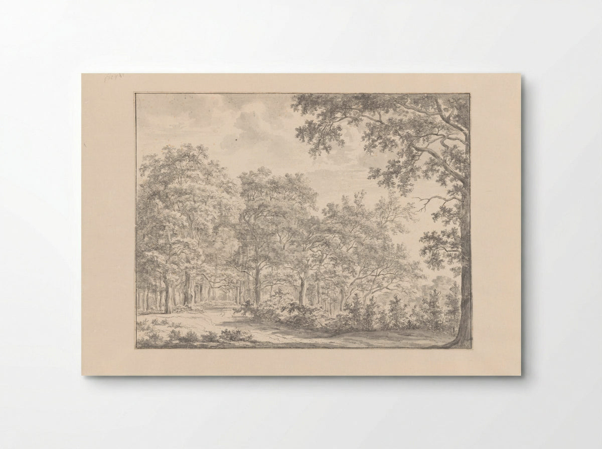 Bosgezicht (Forest View) - Jan Andries Töpfer - Poster