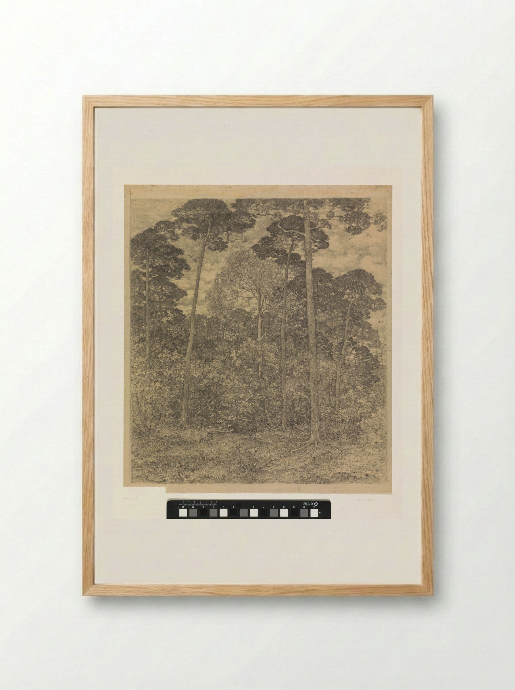 Bosgezicht bij Scherpenzeel - Edzard Koning - Framed Print Wood