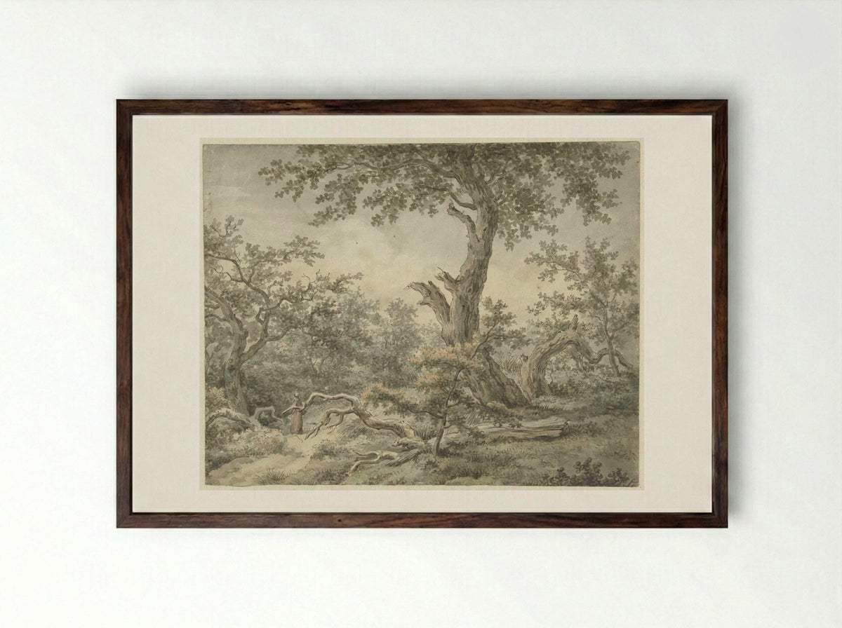 Boslandschap (Wooded Landscape) - Cornelis Buys - Framed Print Dark Wood