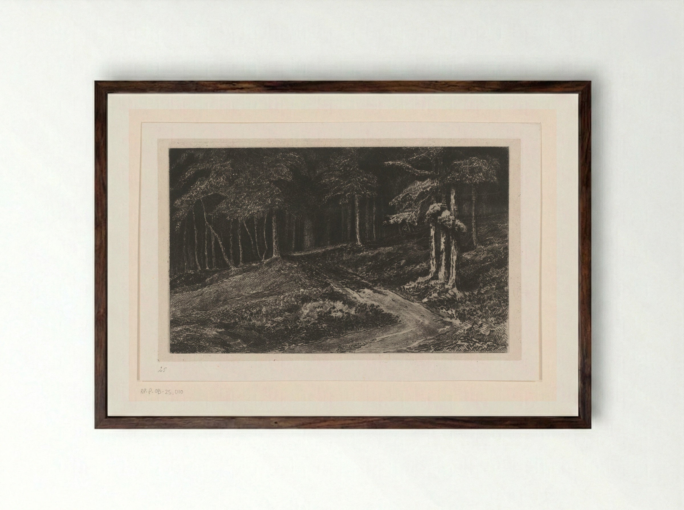 Bosrand bij Kelheim - Carel Nicolaas Storm van 's-Gravesande - Framed Print Dark Wood