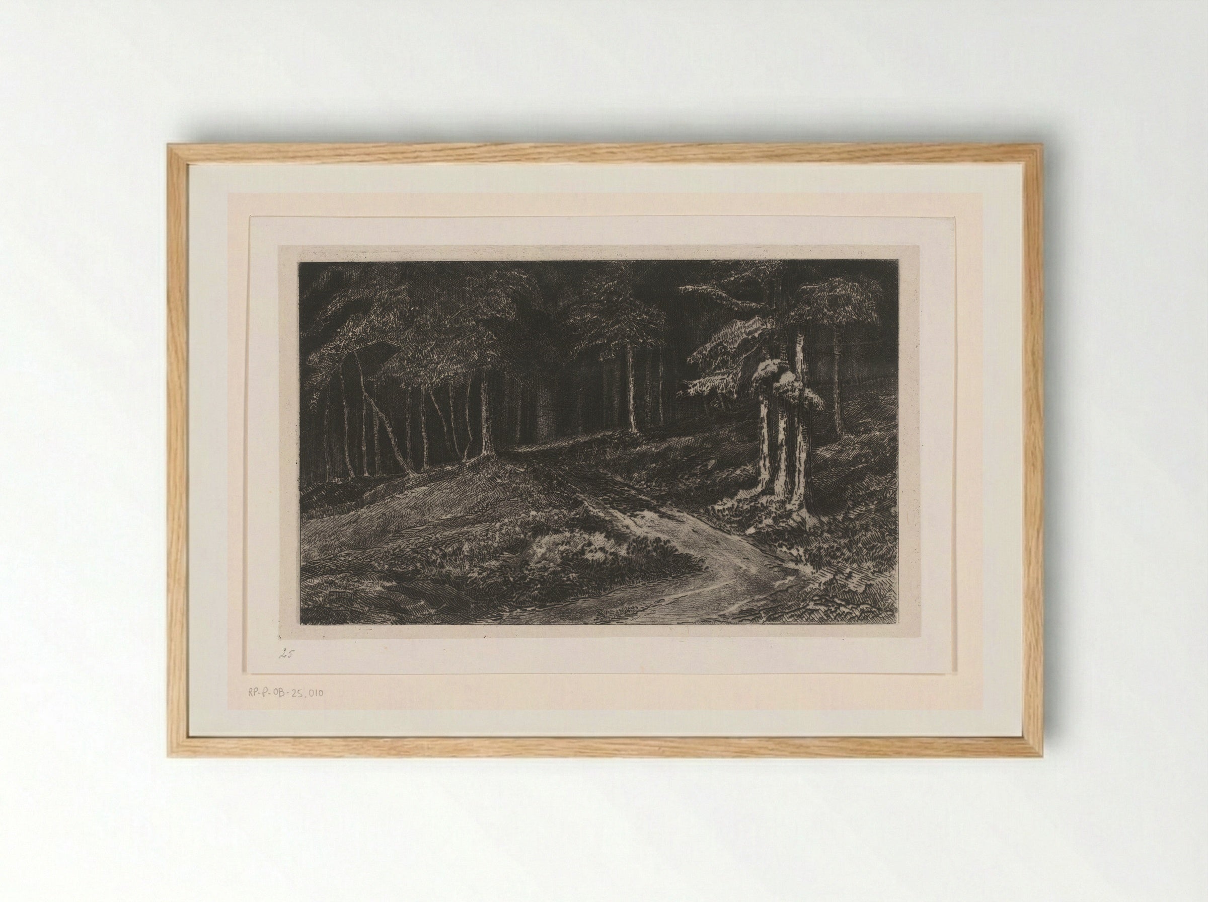 Bosrand bij Kelheim - Carel Nicolaas Storm van 's-Gravesande - Framed Print Wood