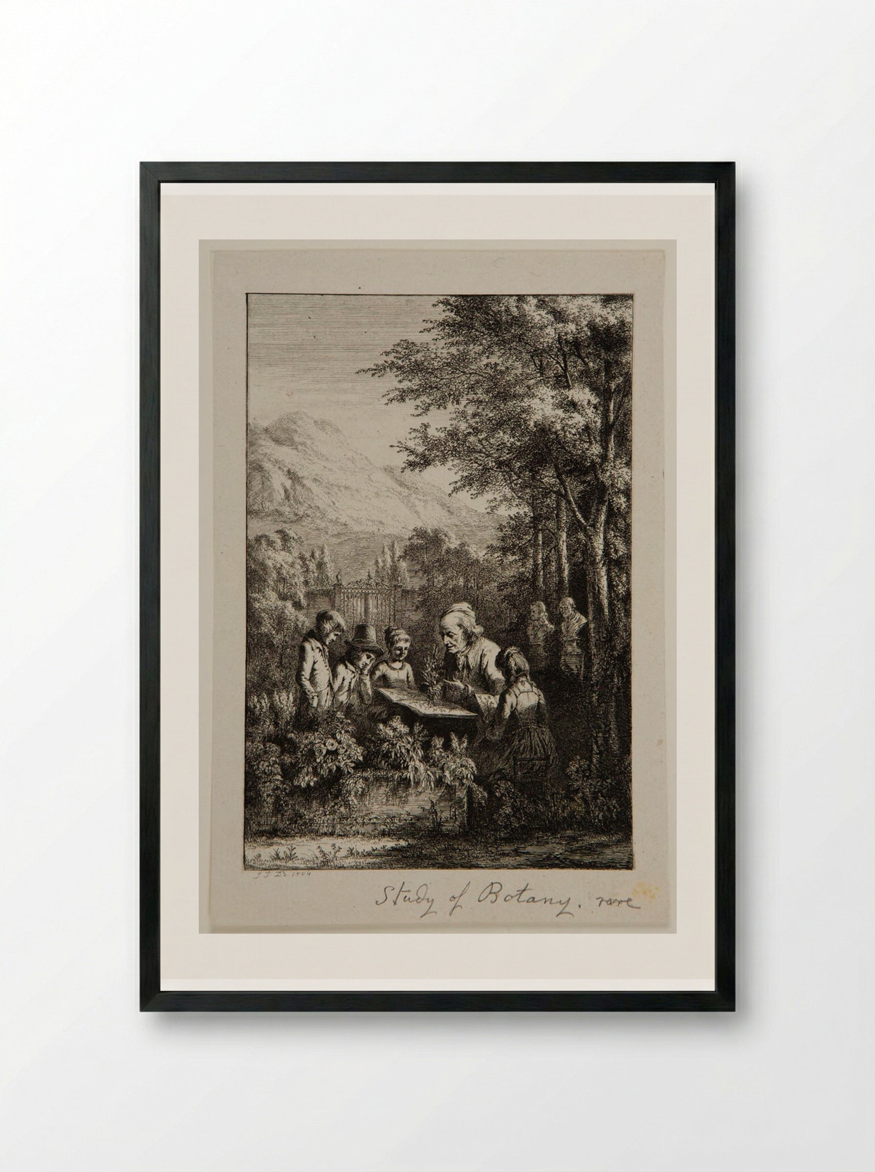 Botany Lesson - Jean-Jacques de Boissieu - Framed Print Black