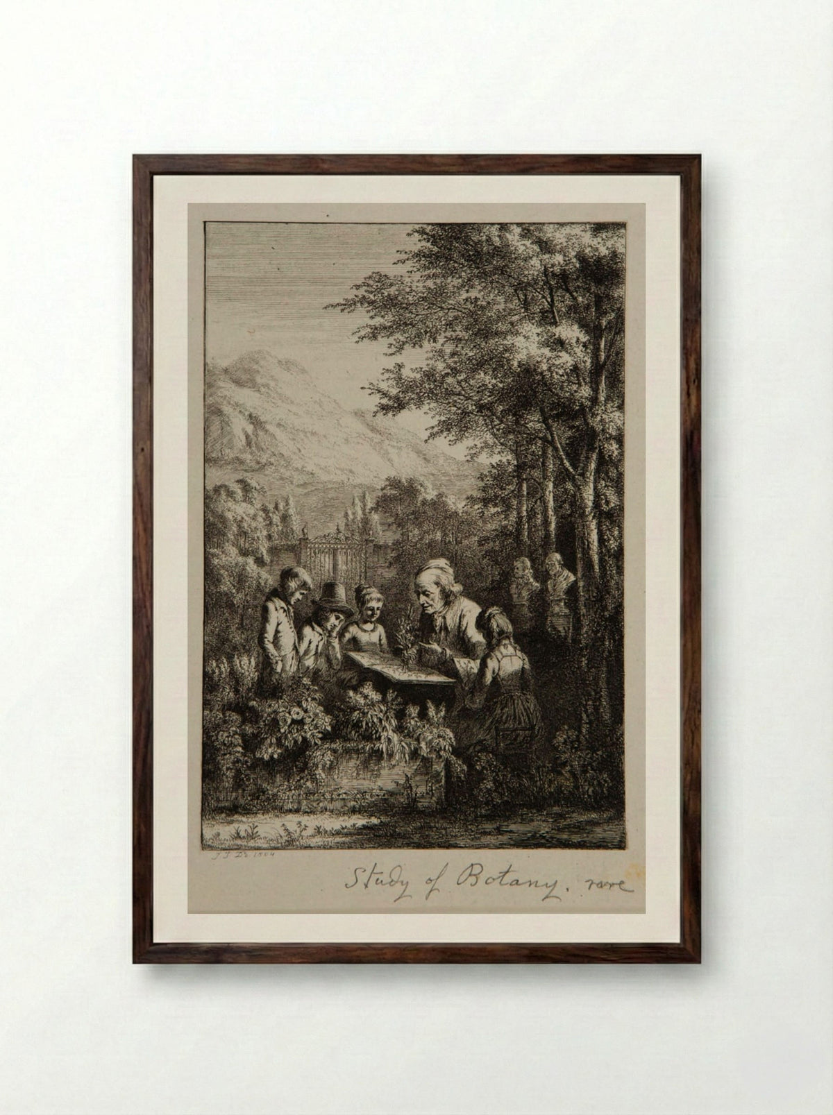 Botany Lesson - Jean-Jacques de Boissieu - Framed Print Dark Wood