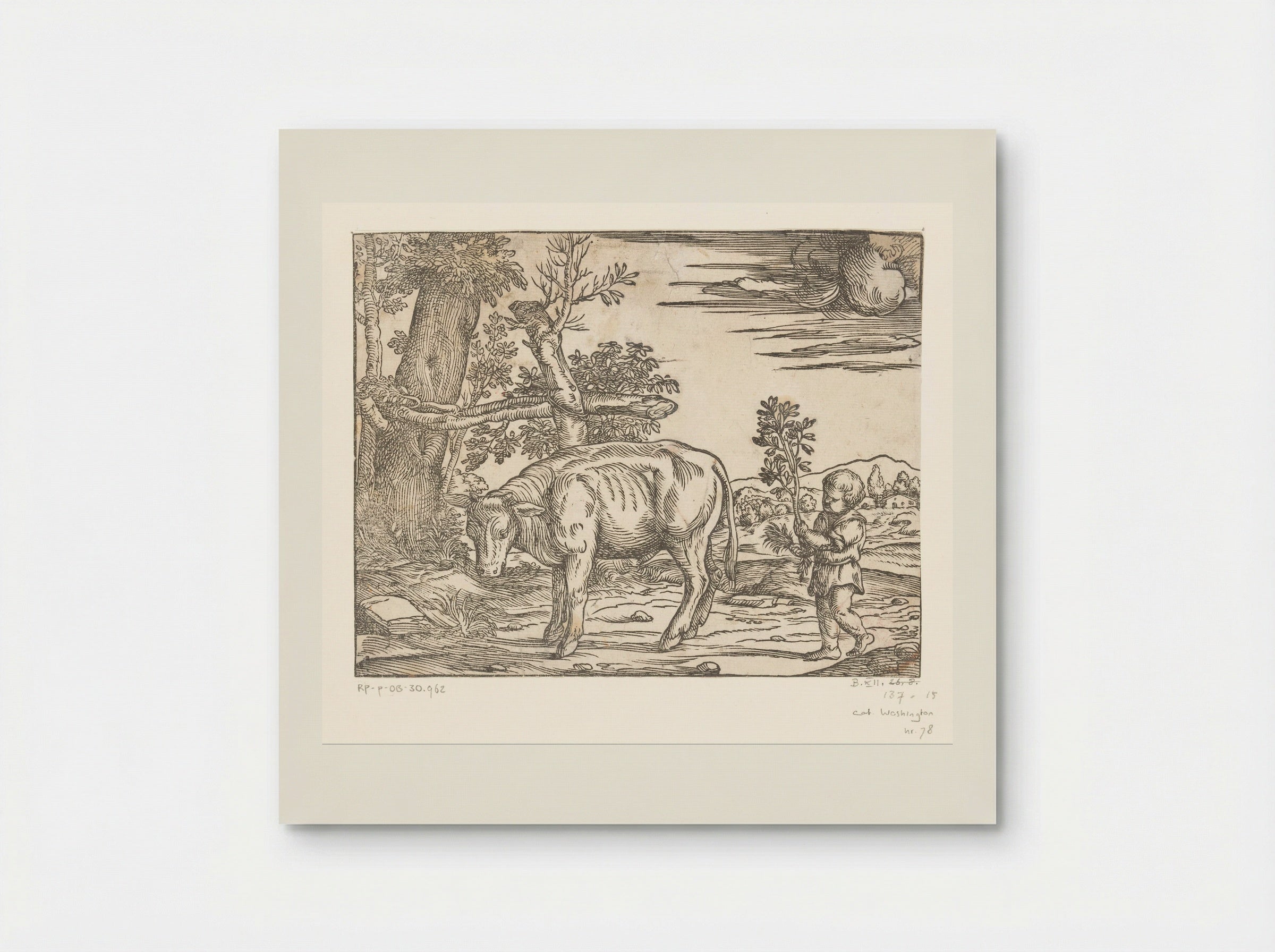 Boy with a Bull - Nicolò Boldrini - Poster