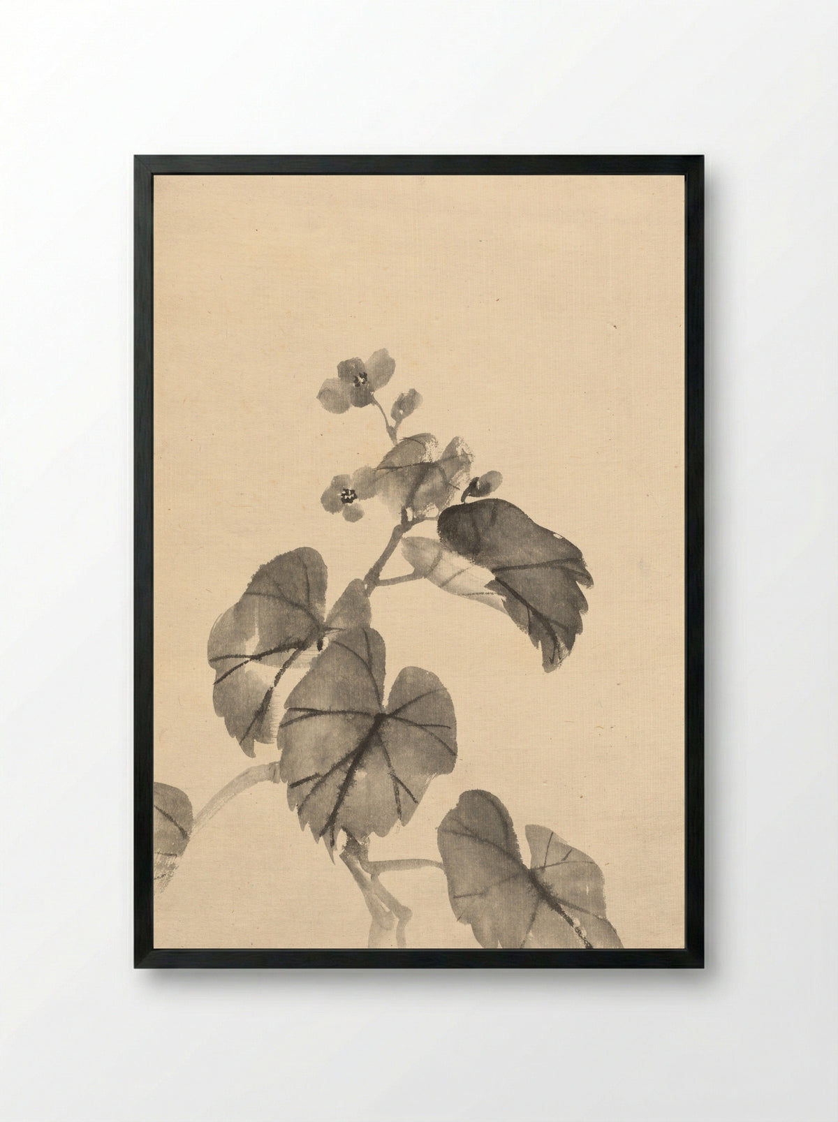 Branch of Begonia in Bloom - Kono Bairei - Framed Print Black