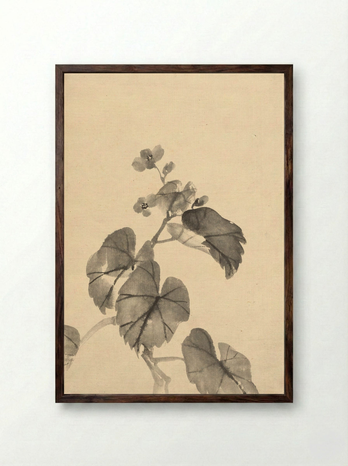 Branch of Begonia in Bloom - Kono Bairei - Framed Print Dark Wood