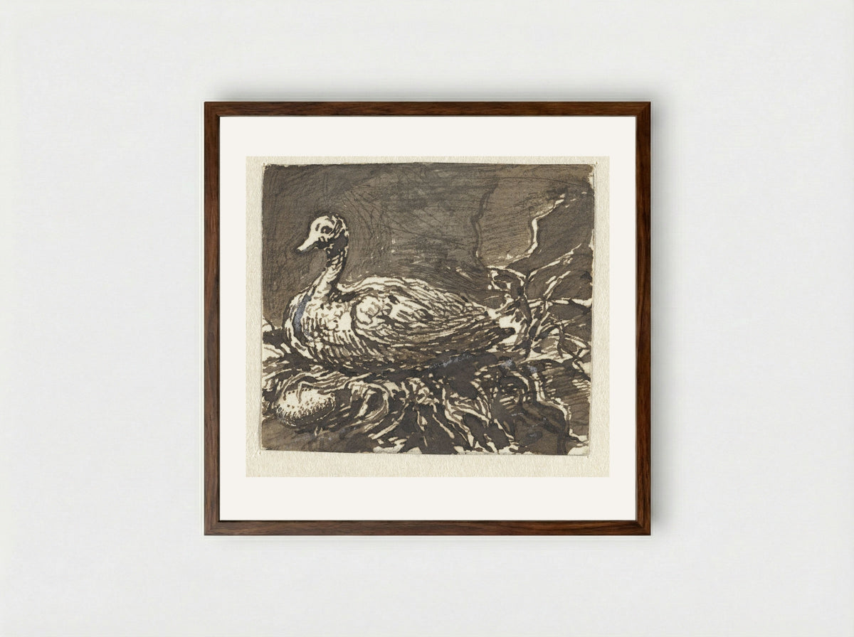 Broedende eend - Ernst Willem Jan Bagelaar - Framed Print Dark Wood
