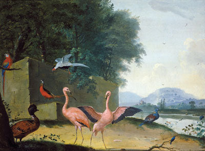 Johannes Bronckhorst