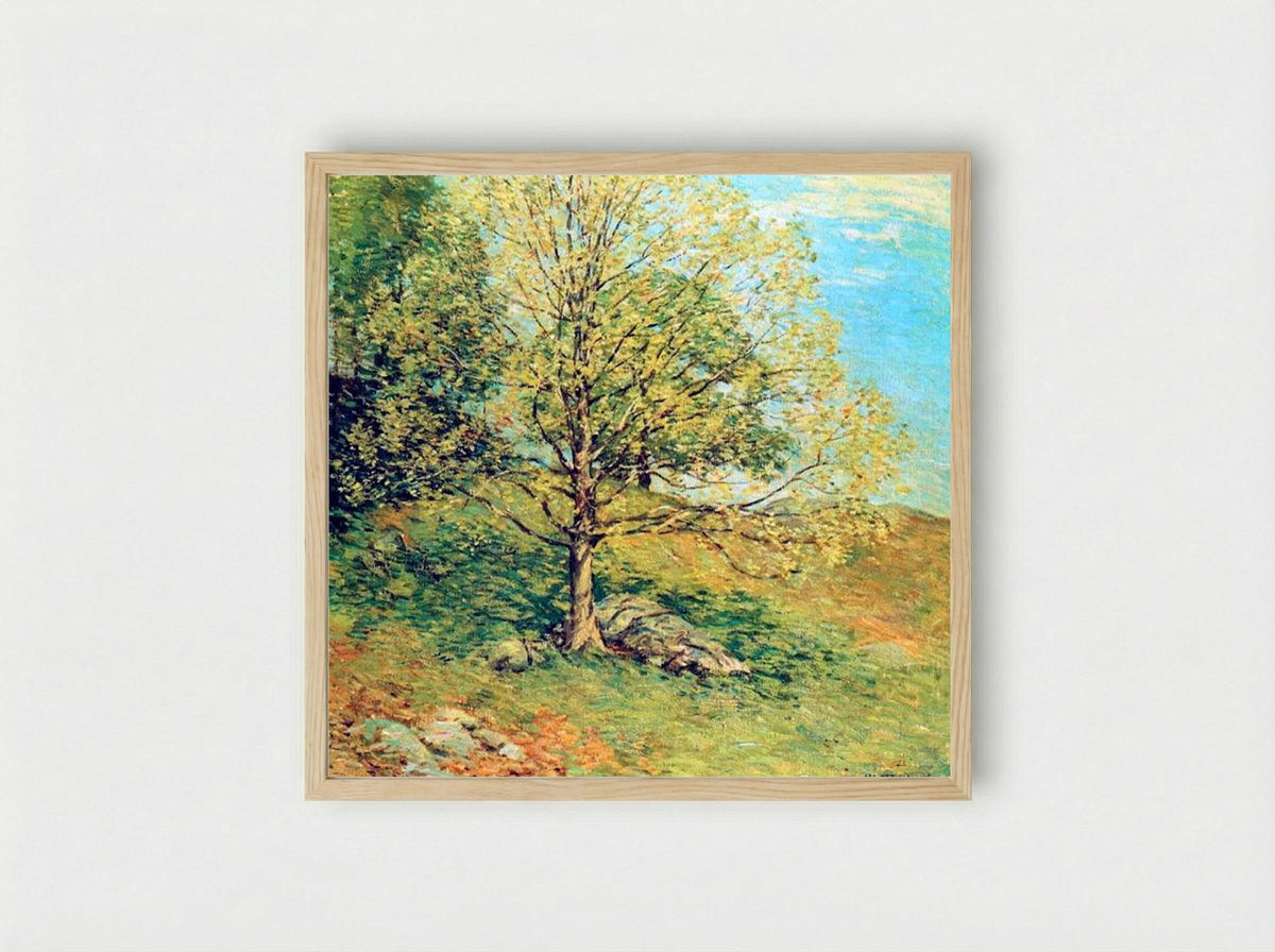 Budding Oak - Willard Metcalf - Framed Print Wood