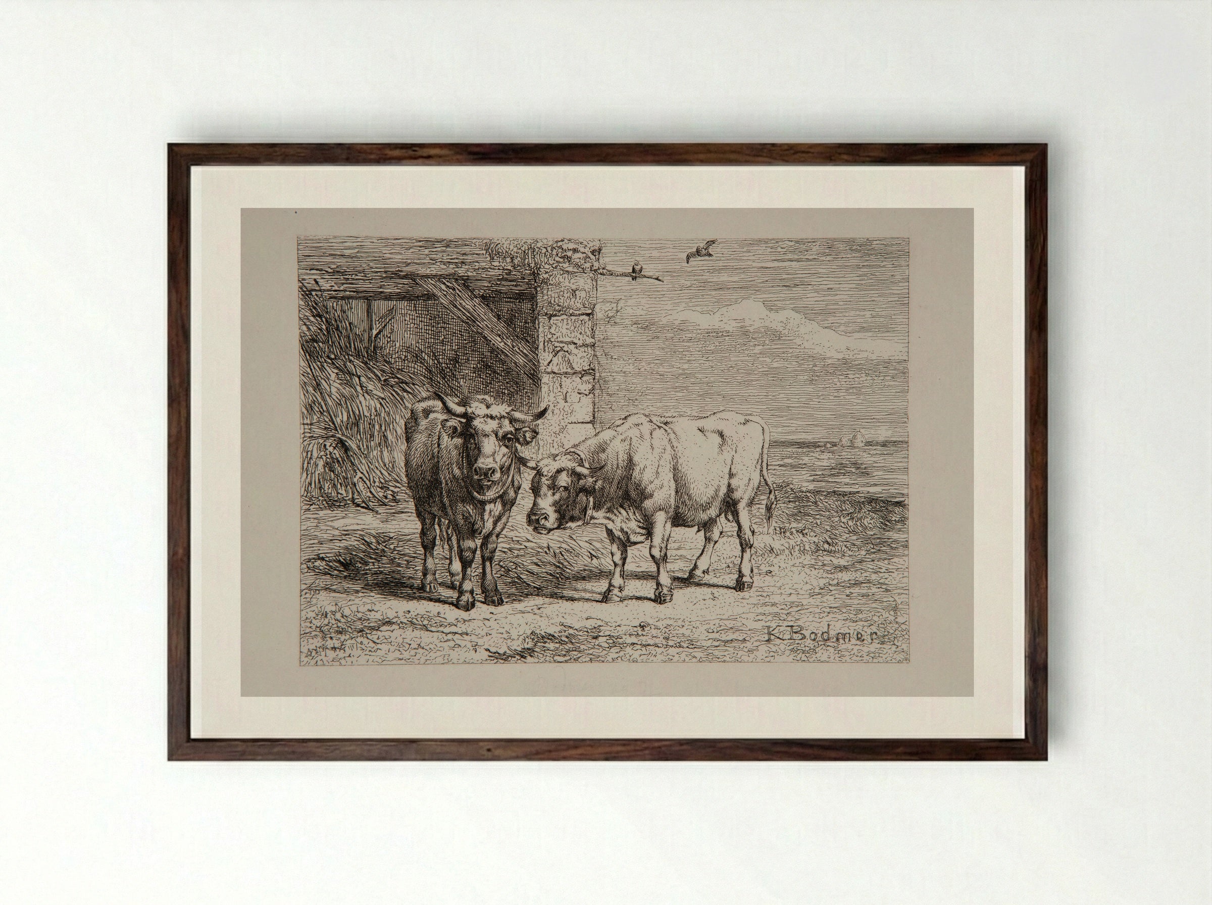 Bull and Cow - Karl Bodmer - Framed Print Dark Wood