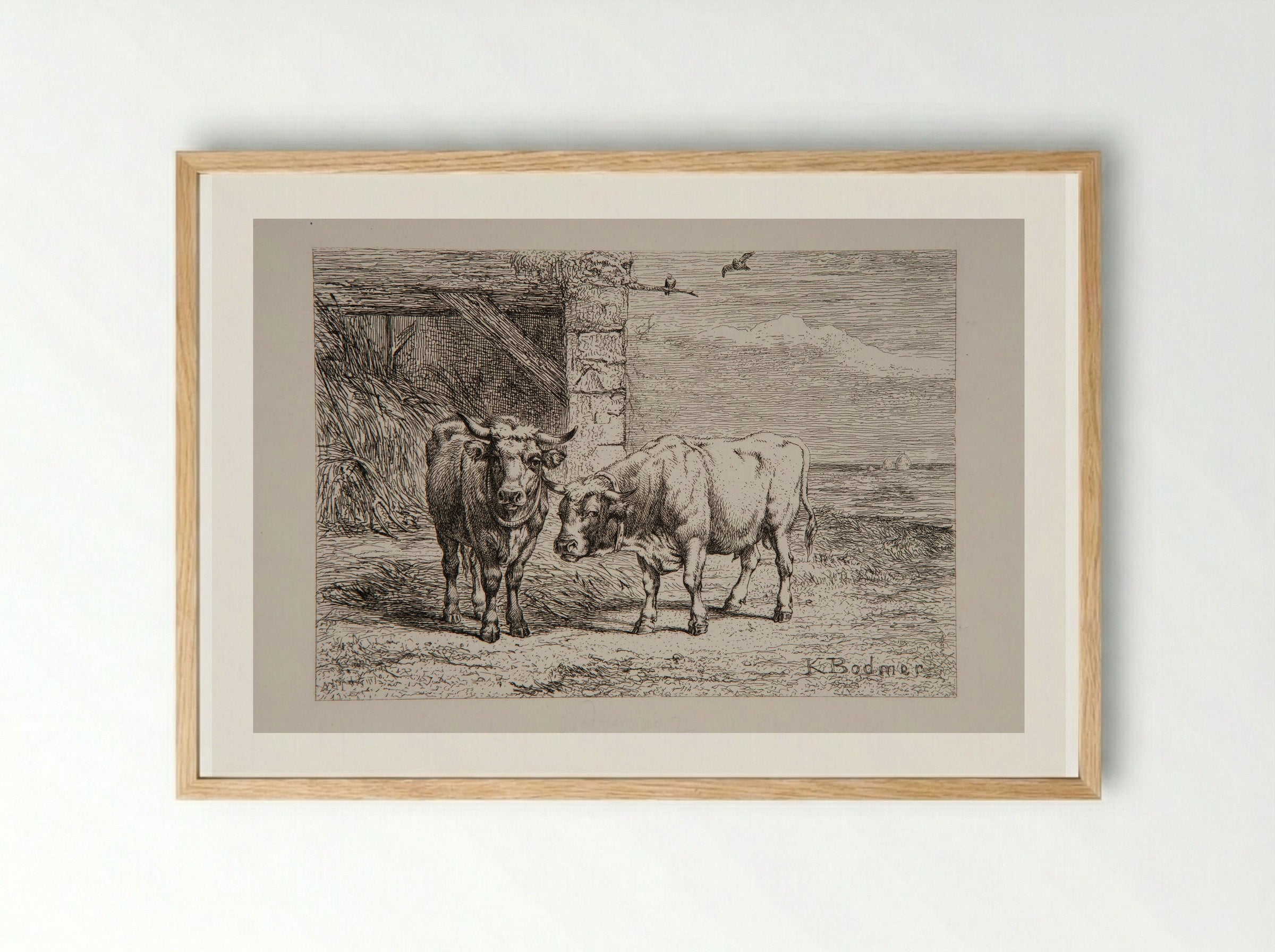 Bull and Cow - Karl Bodmer - Framed Print Wood