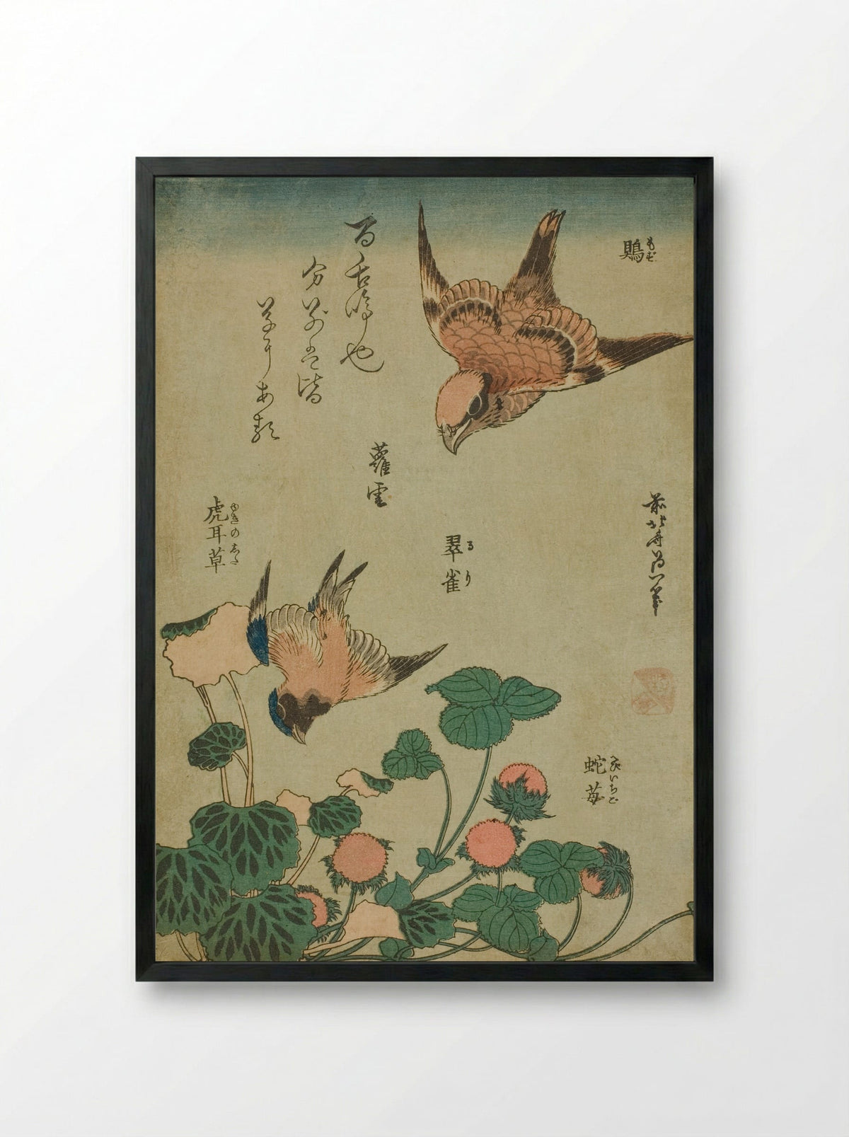 Bull-headed Shrike and Bluebird with Saxifrage and Wild Strawberry - Katsushika Hokusai - Framed Print Black
