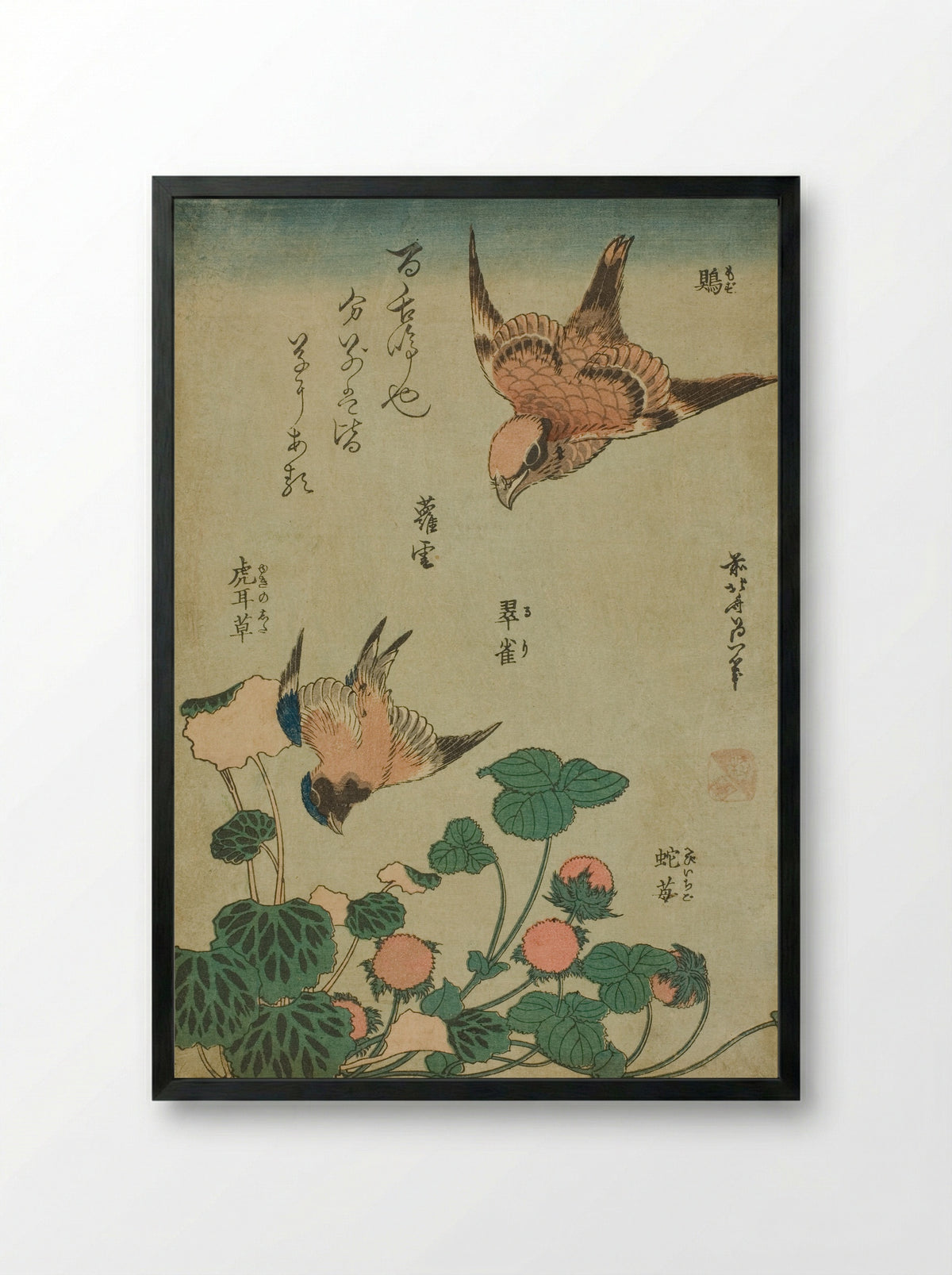Bull-headed Shrike and Bluebird with Saxifrage and Wild Strawberry - Katsushika Hokusai - Framed Print Black
