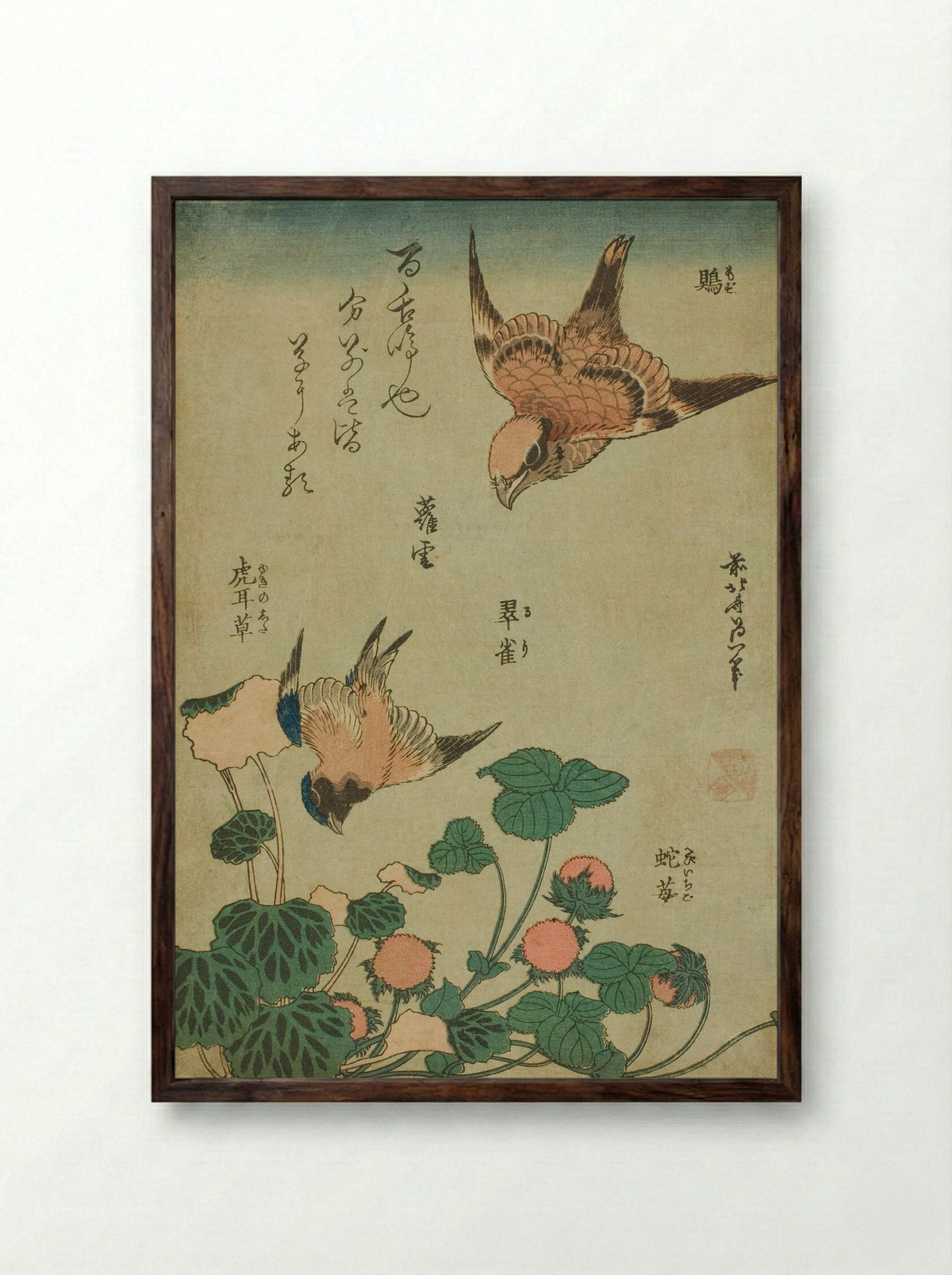 Bull-headed Shrike and Bluebird with Saxifrage and Wild Strawberry - Katsushika Hokusai - Framed Print Dark Wood