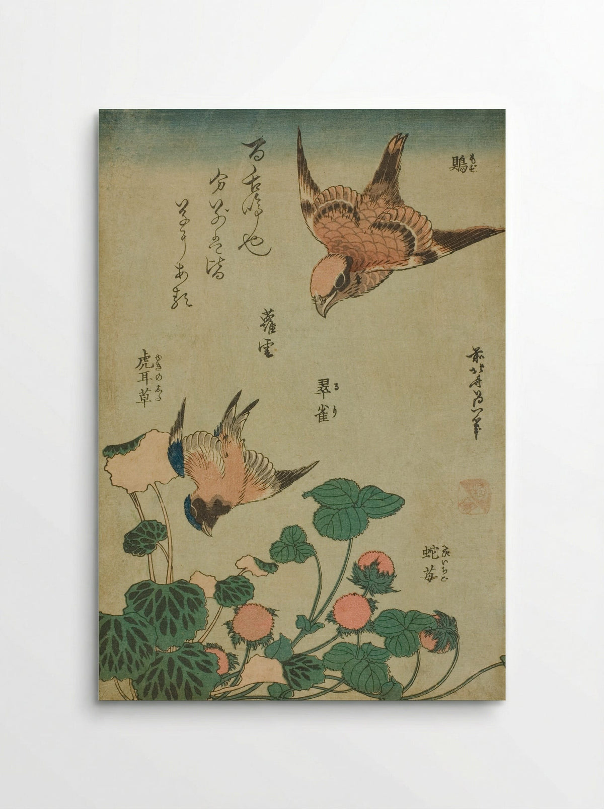Bull-headed Shrike and Bluebird with Saxifrage and Wild Strawberry - Katsushika Hokusai - Poster
