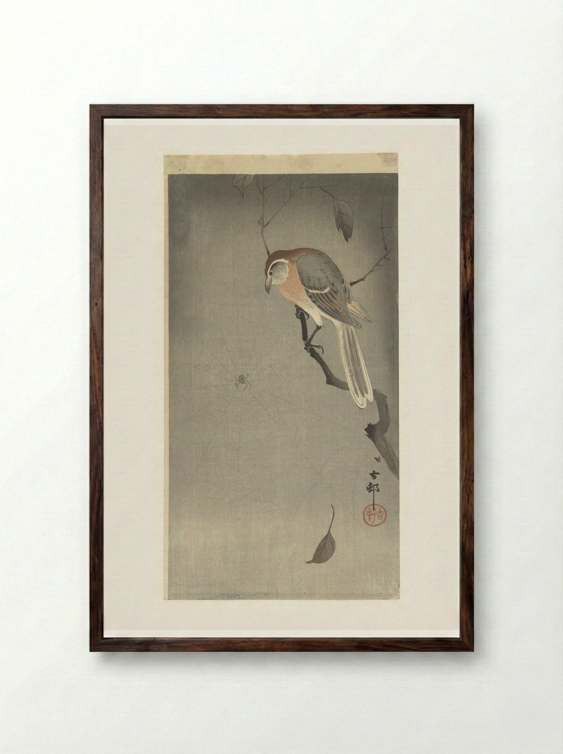 Bull-headed Shrike and Spider - Ohara Koson - Framed Print Dark Wood
