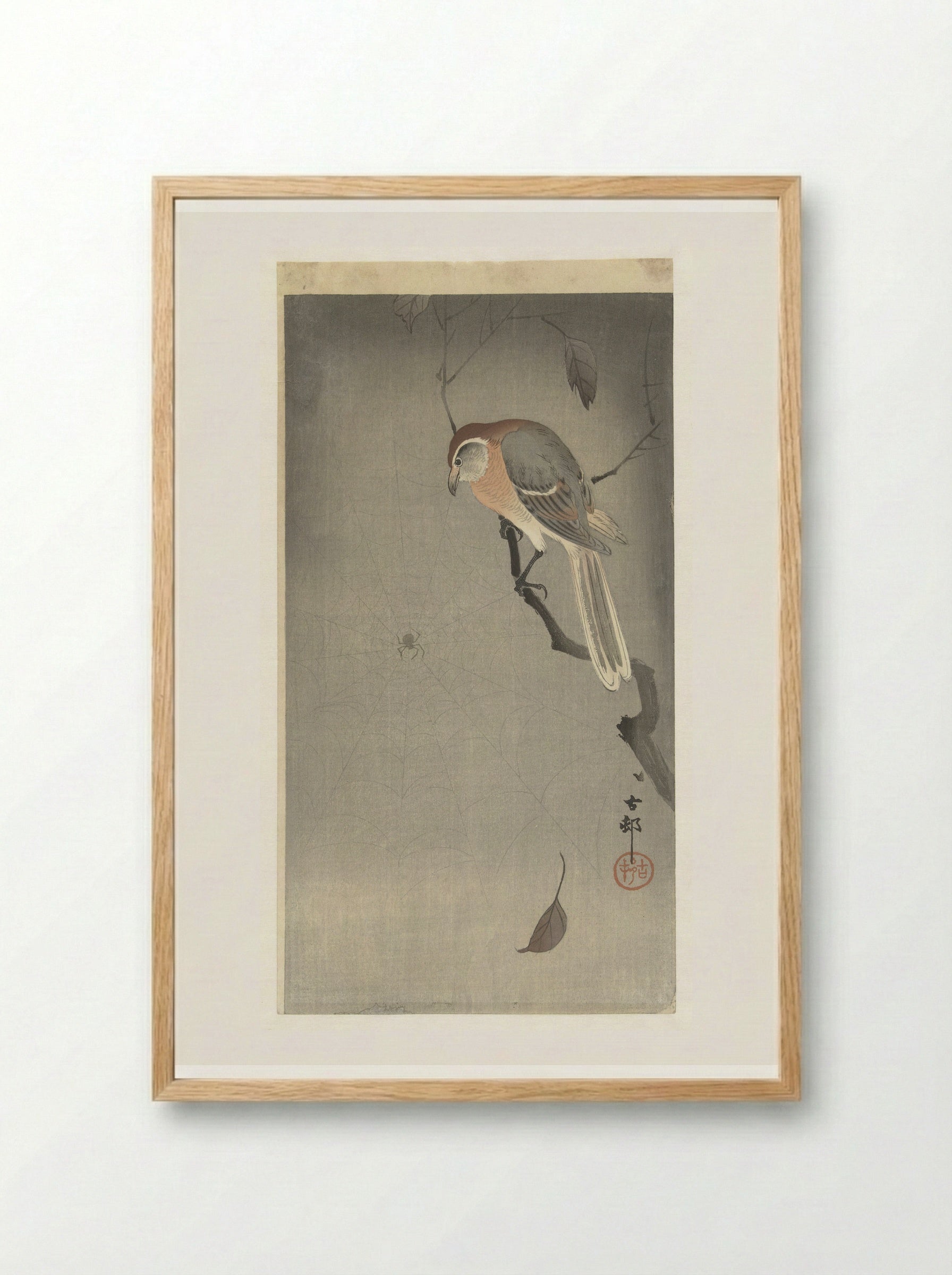 Bull-headed Shrike and Spider - Ohara Koson - Framed Print Wood