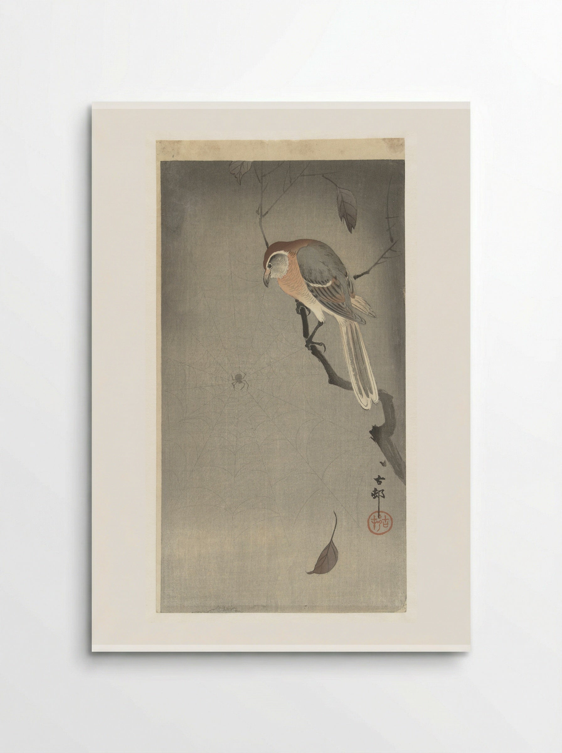 Bull-headed Shrike and Spider - Ohara Koson - Poster