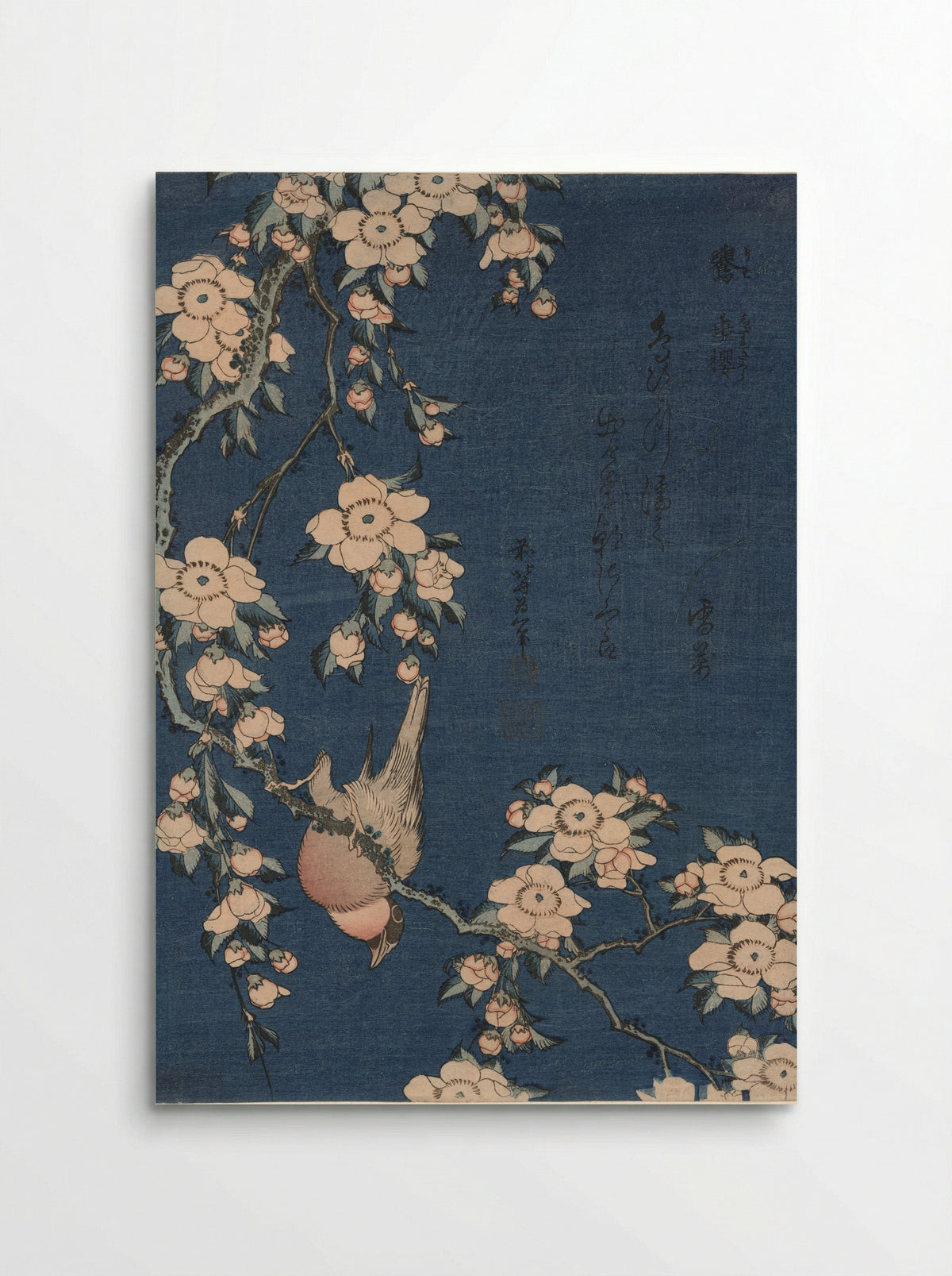 Bullfinch and Weeping Cherry - Katsushika Hokusai - Poster