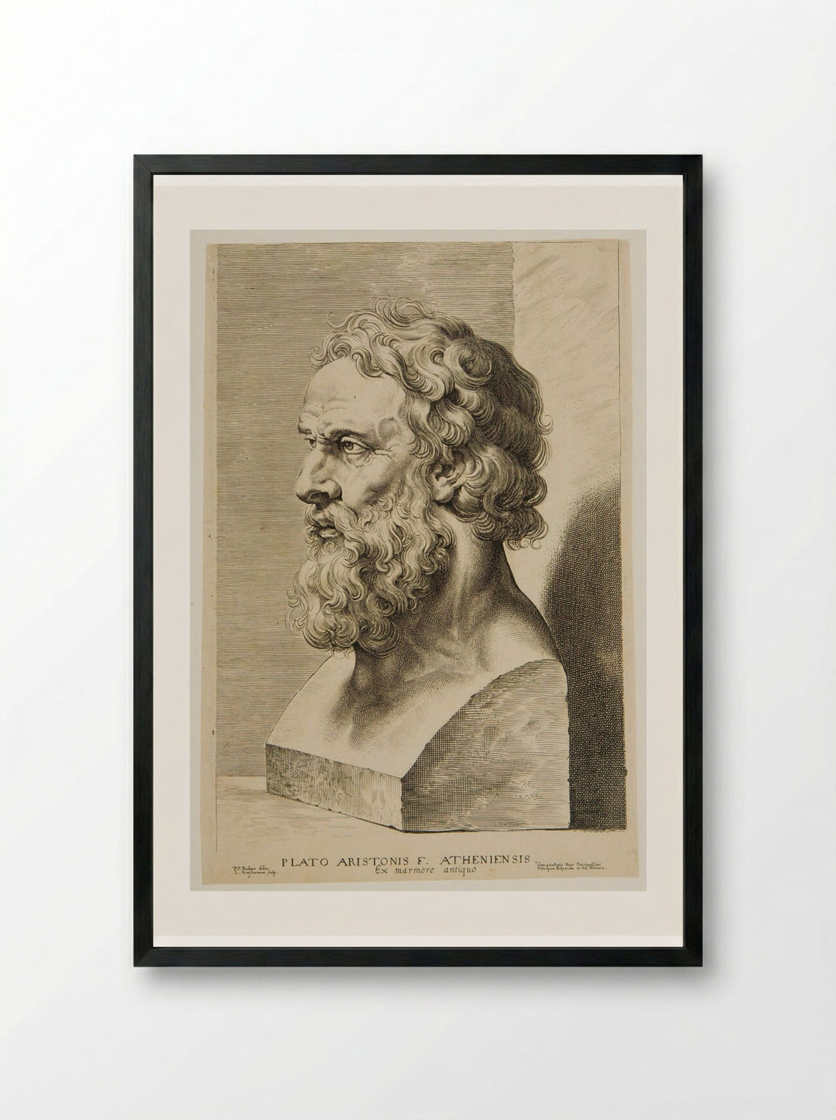 Bust of Plato - Lucas Vorsterman I - Framed Print Black